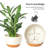 2 Pack Plastic Hanging Planters-1321965993