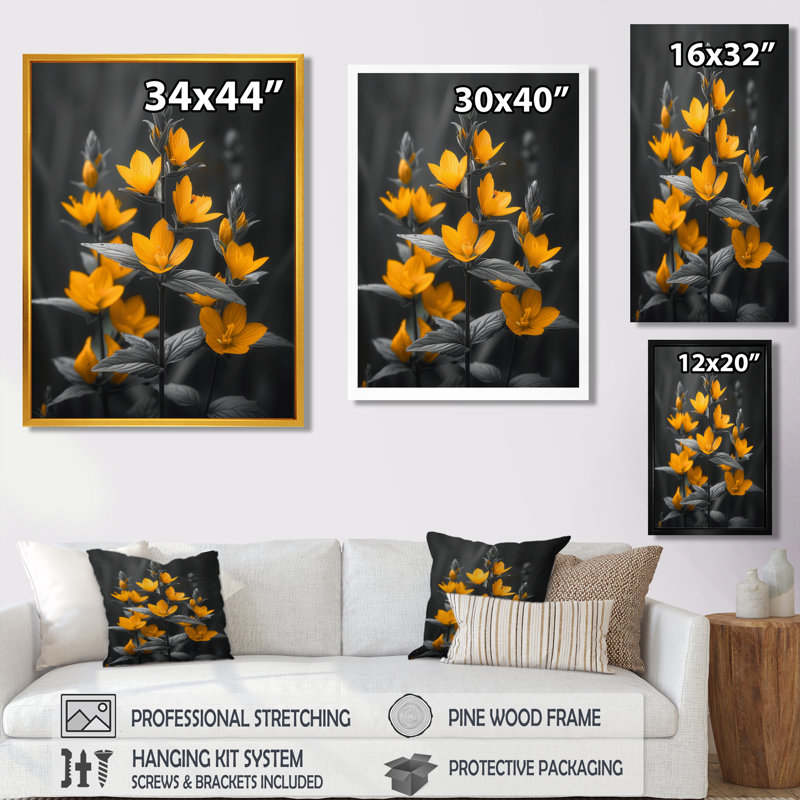 Parfum jaune marguerite noire photo II - marguerite murale art salon, Toile encadrée noire simple, H 20 po x l 12 po x P 1 po