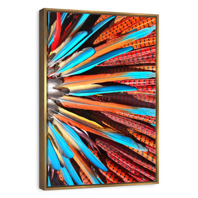 Native American Bonnet Feathers