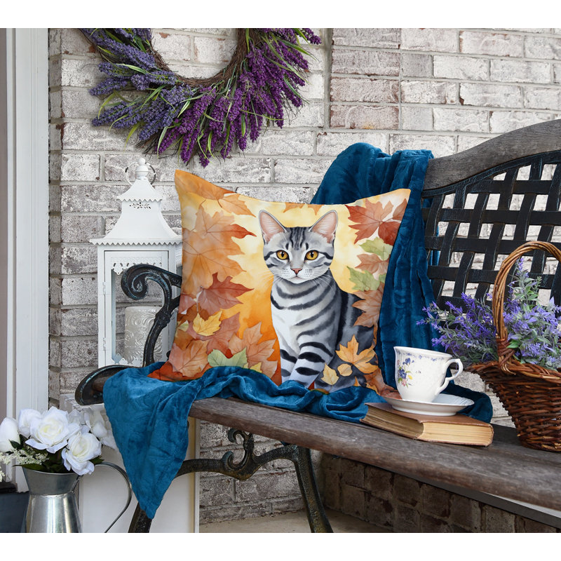 Coussin American Shorthair, Carré 18 po