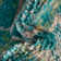 Analiese Floral Indoor Rug
