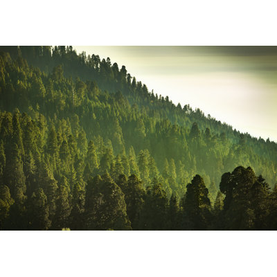 Sierra Nevada Mountains by Pgiam