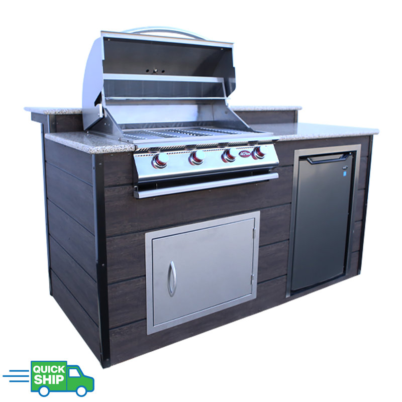 2 pièces 4 brûleurs pour barbecue au propane liquide