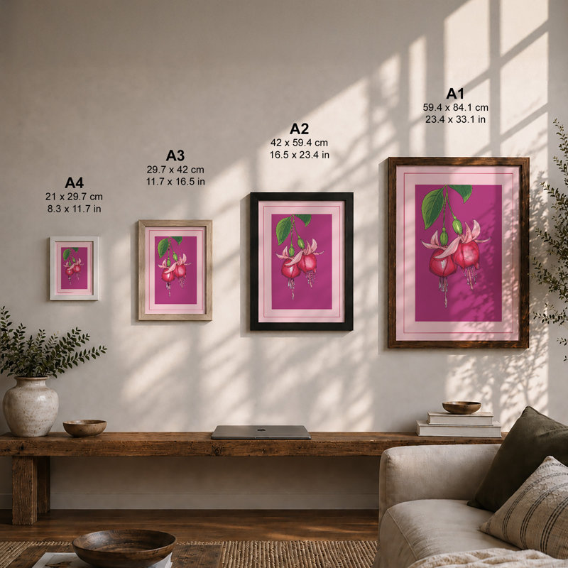 Fuchsia Bloom Botanical - Print, Unframed, A1 - 84.1 x 59.4 cm