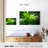 Alvord Giant Bamboo Trees-111980322