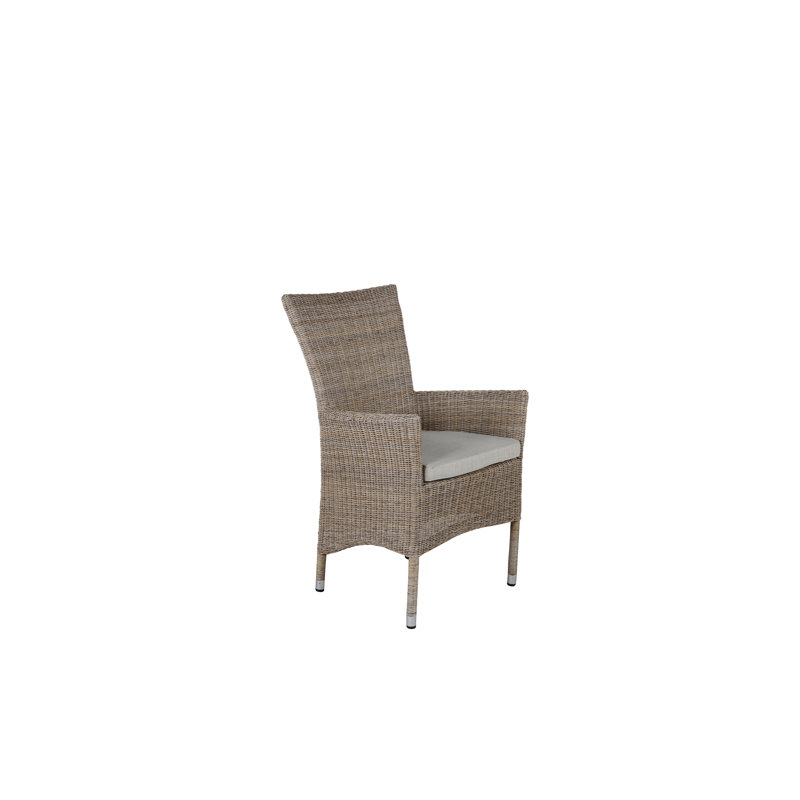 Bursaite 43cm H 100% Polyester Upholstered Armchair