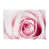 Pink/White selected