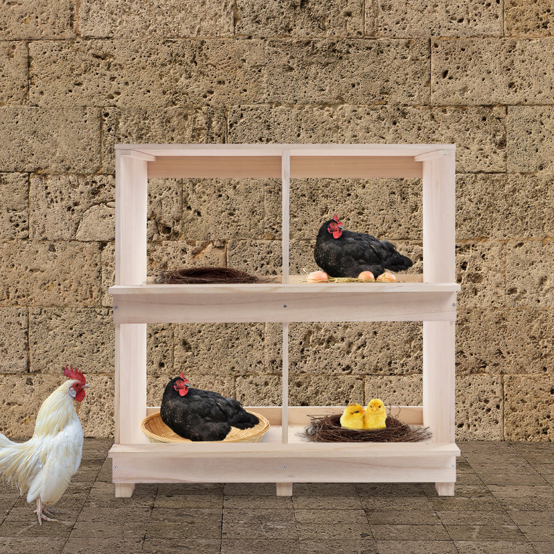Boîtes gigognes en bois à 4 compartiments pour poulets