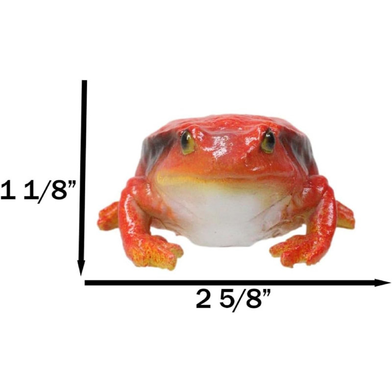Figurine Amphibian Wild Creatures