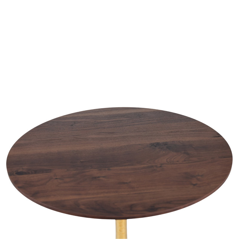 Table de salle à manger de style Mid-Century 31,5 "avec pieds en noyer et pieds dorés avec plateau rond en MDF, table de salle à manger à piédestal, table basse de loisirs