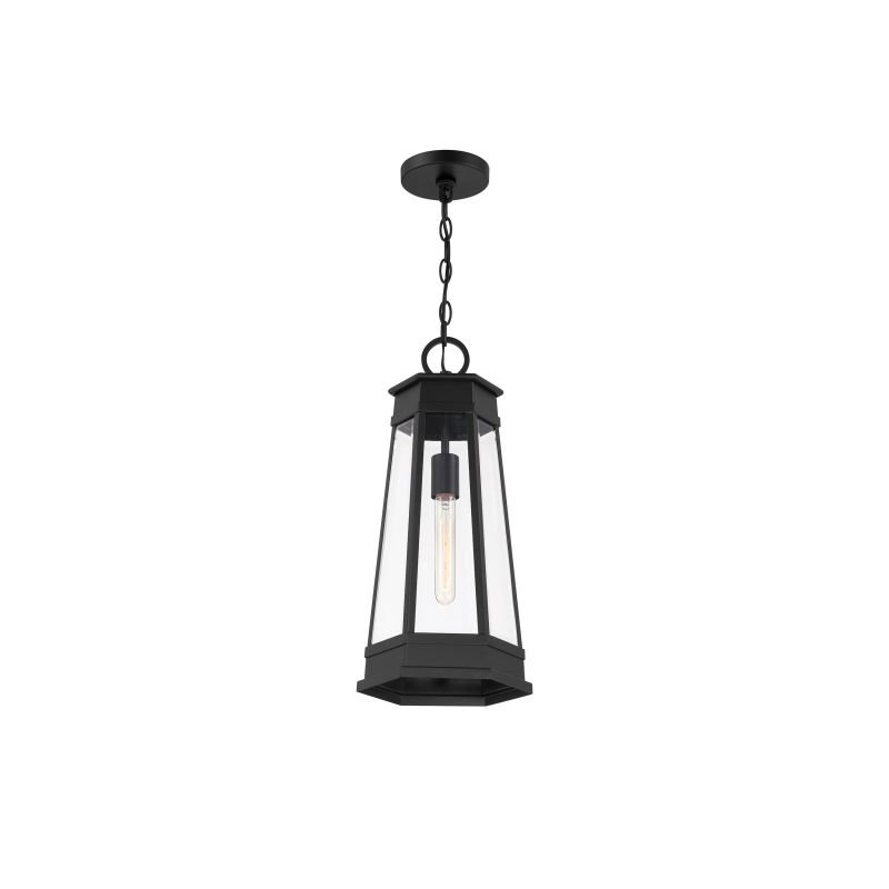 Oaklawn 1-Light Outdoor Hanging Lantern in Matte Black