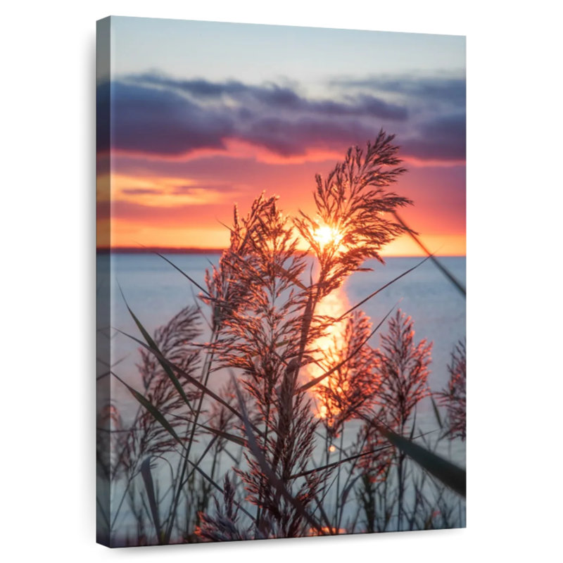Alvord Exhilarated Potential, 24" H x 16" W