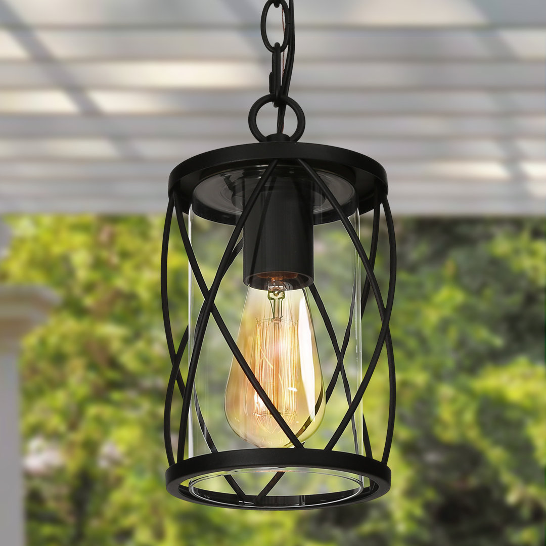 Ezquiel 1-Light Outdoor Hanging Pendant Light 17 Stories