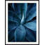 Bold Agave 3 Framed Photographic Print