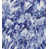Blue Lapis