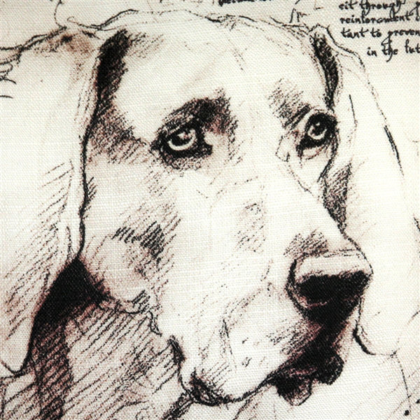  Coussin intérieur / extérieur Weimaraner Dog