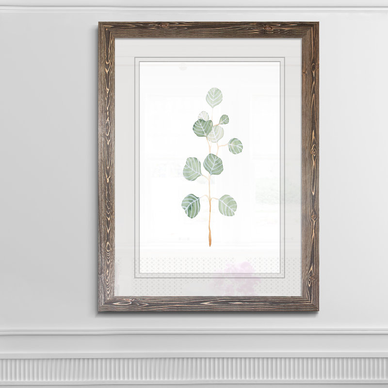 Douce branche d'eucalyptus II - Peinture encadrée sur papier, Cadre espresso, H 44 po x l 32 po x P 1,25 po
