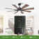 Lisa 60'' Ceiling Fan with LED Lights