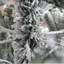 Arbre de Noël artificiel 7 pi