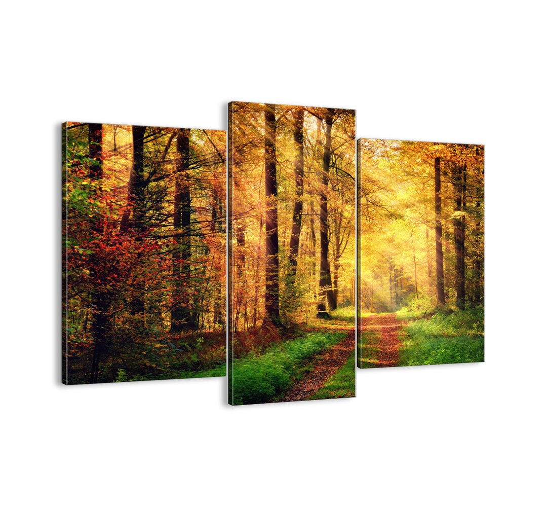 3-tlg. Leinwandbilder-Set - Fotografie „Forest-Golden Silence”