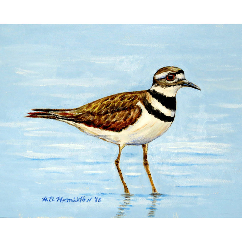 Killdeer Polyester Animals/Nature Rectangle Placemat