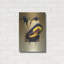 Luxe Toucans «Chestnut-Mandibled Toucans» par Har-101614896