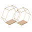 Amirreza 2 Piece Hexagon Accent Shelf
