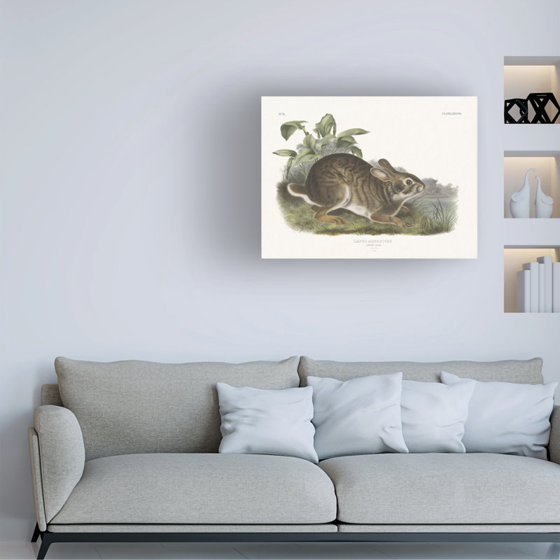  Art mural sur toile "Wild Apple Portfolio Cottage Hare I", H 24 po x l 32 po