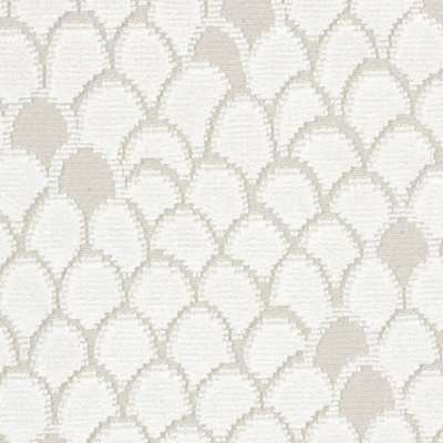 Esther Velvet Fabric