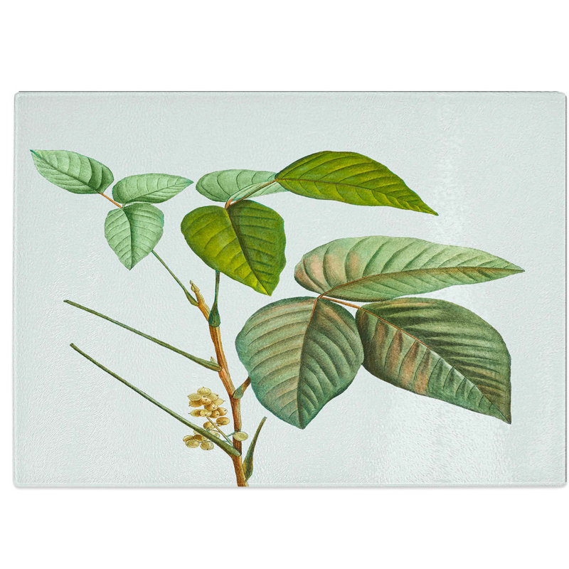 Tempered Glass Poison Ivy by Pierre-Joseph Redoute Chopping Board, 39 cm W x 28.5 cm L