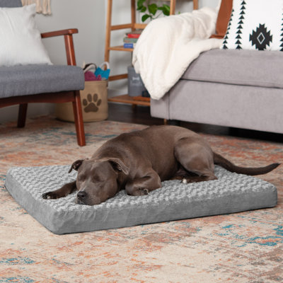 Orthopedic Polyester Pet Bed