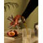 The Tending Box Stainless Steel Bar Tool