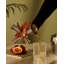 The Tending Box Stainless Steel Jigger