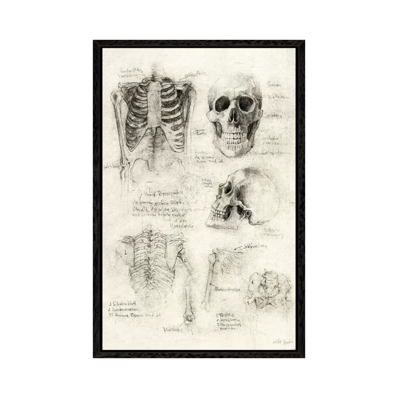 Skeleton by Mike Koubou - Print on Canvas, 66.04cm H x 45.72cm W x 3.81cm D, Black Framed