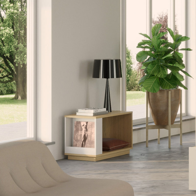 Shaena Side Table with Storage