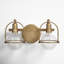 Damiana Dimmable Vanity Light-112966722-112966721-55175262