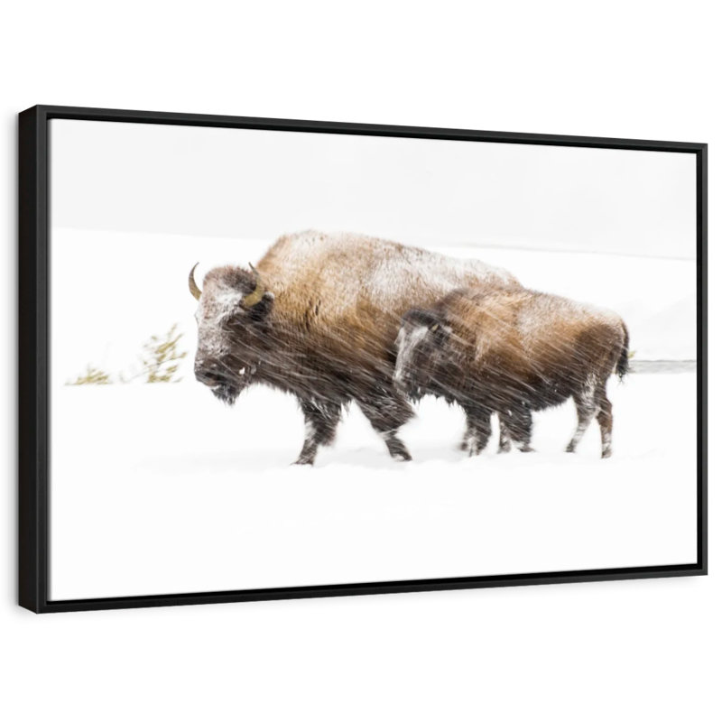 «Bison In Yellowstone National Park», art mural, H 27 po x l 40 po