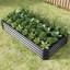 Lit de jardin en métal ondulé en fer ondulé pour plantes d'extérieur, légumes et fleurs-1386333547-1396259000
