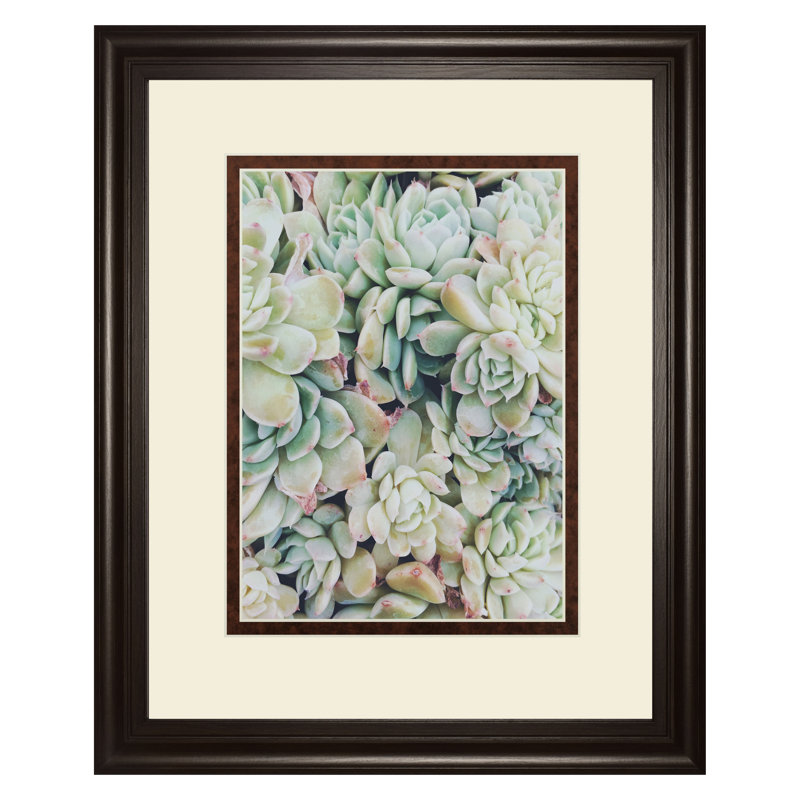 Art mural translucide succulentes - double passe-partout - 34 po x 40 po - cadre noir