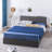 Boryschtsck Upholstered Metal Platform Storage Bed-194142812