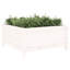 Bojana Wood Pot Planter-141275966-141275953-141275954