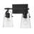 Foster Two-Light Bath Vanity w/ Clear Glass Shades