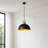 Dimmable Dome Pendant-1932155669