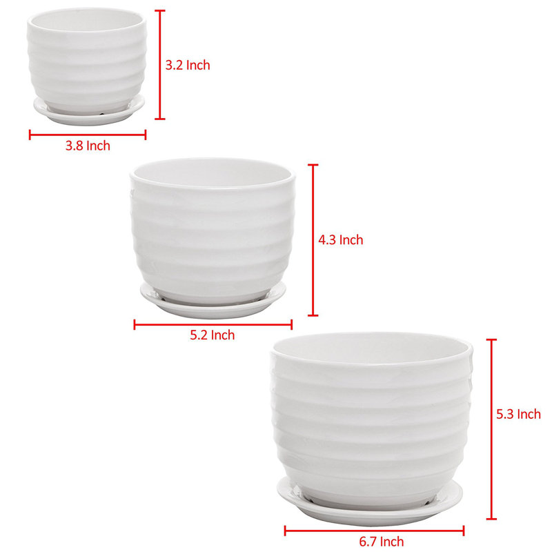 Aniece Ceramic Pot Planter