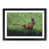 Black Framed selected