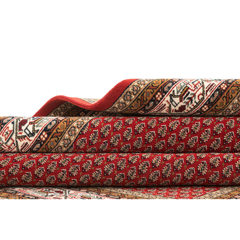 Tapis rouge Oneill