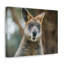 Wall Art on Canvas-373177989