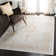 Delmer Performance Oriental Rug