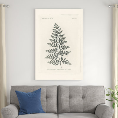 Gravure de fougère par Wild Apple Portfolio - peinture sur toile tendue