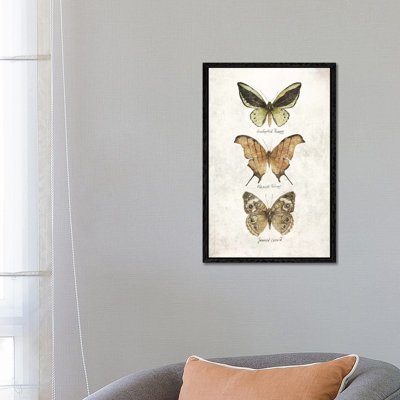 Butterflies IV by Mike Koubou - Print on Canvas